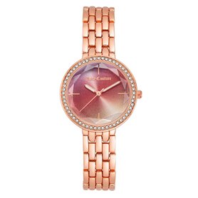 Montre Femme Juicy Couture JC_1208PKRG 99,99 €