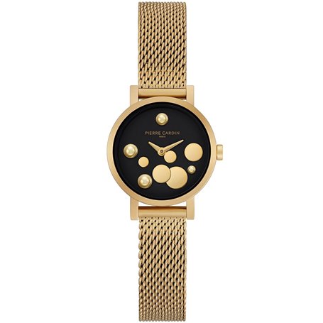 Montre Femme Pierre Cardin CCM-0502 119,99 €