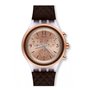 Montre Femme Swatch SVCK1005 169,99 €