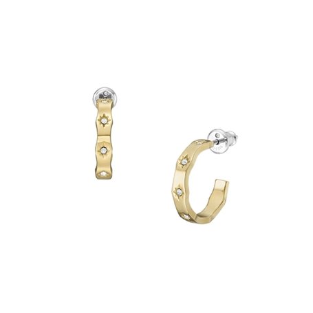 Boucles d´oreilles Femme Fossil JF04380710 79,99 €