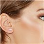 Boucles d´oreilles Femme Emporio Armani EG3027040 129,99 €