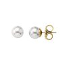 Boucles d´oreilles Femme Majorica 00326.01.1.000.701.1 89,99 €