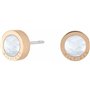 Boucles d´oreilles Femme Tommy Hilfiger 2780663 109,99 €