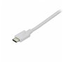 Adaptateur USB C vers DisplayPort Startech CDP2DPMM6W 1,8 m Blanc 59,99 €