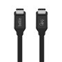 Câble USB-C Belkin 0.8M01BT0.8MBK 80 cm 49,99 €