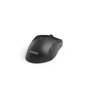 Souris Optique Nilox MOUSB1001 1000 DPI Noir 15,99 €