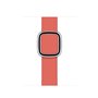 Bracelet à montre Apple Watch Apple MY622ZM/A Rose 99,99 €