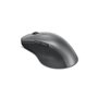 Souris Lenovo 4Y51J62544 70,99 €