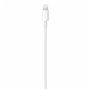 Câble USB C Apple MM0A3ZM/A 1 m Blanc 39,99 €