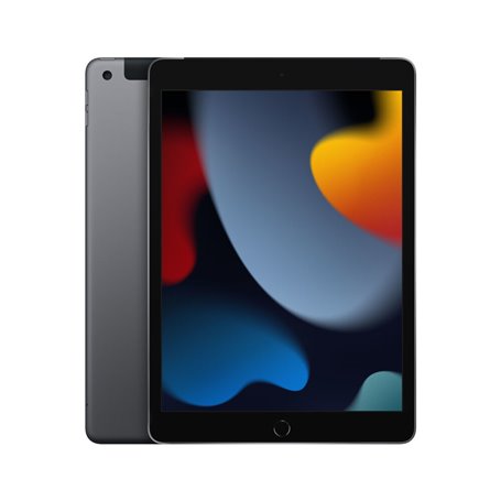 Tablette Apple iPad 3 GB RAM 10,2" Gris 256 GB 849,99 €