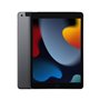 Tablette Apple iPad 3 GB RAM 10,2" Gris 256 GB 849,99 €