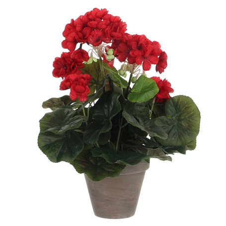 Plante décorative Mica Decorations PVC Géranium (11,5 x 33 cm) 126,99 €