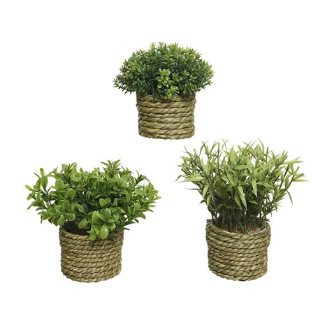 Plante décorative Basic Home Artificielle Corde Vert 16 x 3 cm 19,99 €