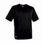 T-shirt à manches courtes unisex Cofra Zanzibar Noir 100 % coton 19,99 €