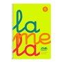 Cahier Lamela Multicouleur 80 Volets quarto (5 Unités) 37,99 €