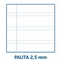 Cahier Centauro 60 g/m² A4 80 Volets (10 Unités) 33,99 €