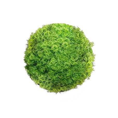 Plante décorative  Ballon Mousse 20 x 20 x 20 cm 36,99 €