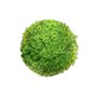 Plante décorative  Ballon Mousse 20 x 20 x 20 cm 36,99 €