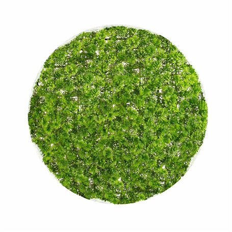 Plante décorative  Ballon Mousse 30 x 30 x 30 cm 89,99 €