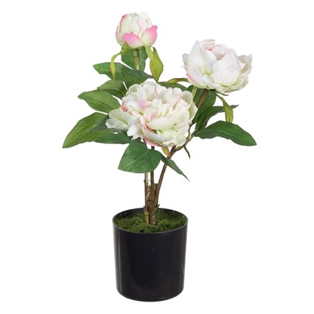 Plante décorative 24 x 20 x 38 cm Crème Pivoine 58,99 €