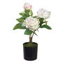 Plante décorative 24 x 20 x 38 cm Crème Pivoine 58,99 €