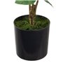 Plante décorative 24 x 20 x 38 cm Crème Pivoine 58,99 €