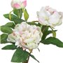 Plante décorative 24 x 20 x 38 cm Crème Pivoine 58,99 €