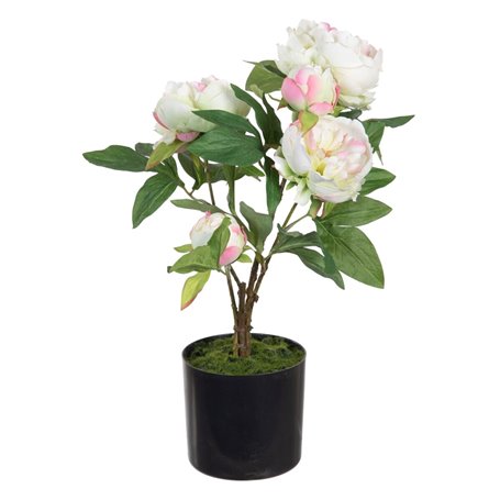 Plante décorative 36 x 30 x 44 cm Crème Pivoine 116,99 €