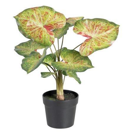 Plante décorative 48 x 46 x 55 cm Rouge Vert PVC 63,99 €