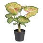 Plante décorative 48 x 46 x 55 cm Rouge Vert PVC 63,99 €