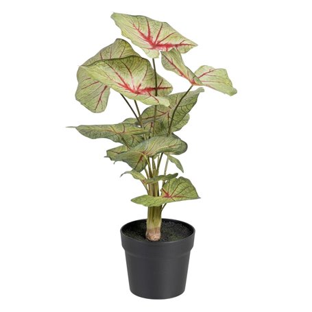 Plante décorative Rouge Vert PVC 40 x 35 x 55 cm 63,99 €