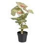 Plante décorative Rouge Vert PVC 40 x 35 x 55 cm 63,99 €