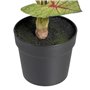 Plante décorative Rouge Vert PVC 40 x 35 x 55 cm 63,99 €