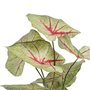 Plante décorative Rouge Vert PVC 40 x 35 x 55 cm 63,99 €