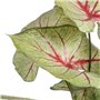 Plante décorative Rouge Vert PVC 40 x 35 x 55 cm 63,99 €