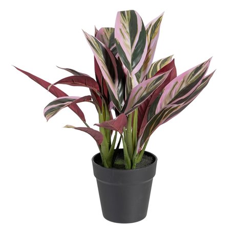 Plante décorative 44 x 39 x 48 cm Rose Vert PVC 59,99 €