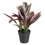 Plante décorative 44 x 39 x 48 cm Rose Vert PVC 59,99 €