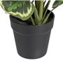 Plante décorative 37 x 37 x 41 cm Vert PVC 55,99 €