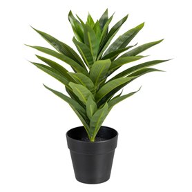 Plante décorative Vert PVC Lis 32,99 €