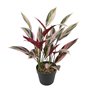 Plante décorative 43 x 40 x 55 cm Vert Oiseaux de paradis 172,99 €