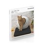 Tapis de Litière pour Chat Clikatt InnovaGoods 29,99 €