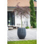 EDA Pot rond Graphit Ø50cm - Contenance 53L - Gris anthracite 269,99 €