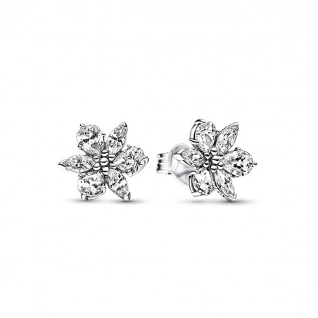 Boucles d´oreilles Femme Pandora 292633C01