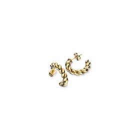 Boucles d´oreilles Femme AN Jewels AAC.E05Y