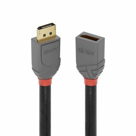 Câble DisplayPort LINDY 36497 2 m Noir