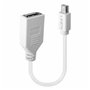 Adaptateur Mini DisplayPort vers DisplayPort LINDY 41021 Blanc