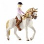 Schleich Caravan for secret club meetings