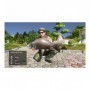 Pro Fishing Simulator PlayStation 4