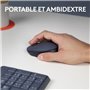 LOGITECH - Souris Sans Fil Ambidextre M170 - Gris
