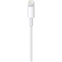 Cable APPLE Lightning To USB cable 1 M
